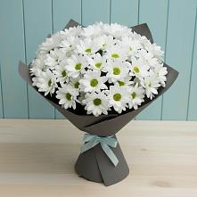 Букет цветов из:  Хризантемы в Усть-Абакане