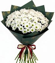 Букет цветов из:  Хризантемы #REPLACE_PRED# Усть-Абакане