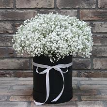 Цветочная композиция из Гипсофила в шляпной коробке #REPLACE_PRED# Усть-Абакане