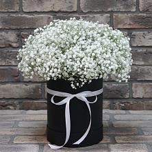 Цветочная композиция из Гипсофила в шляпной коробке в Усть-Абакане